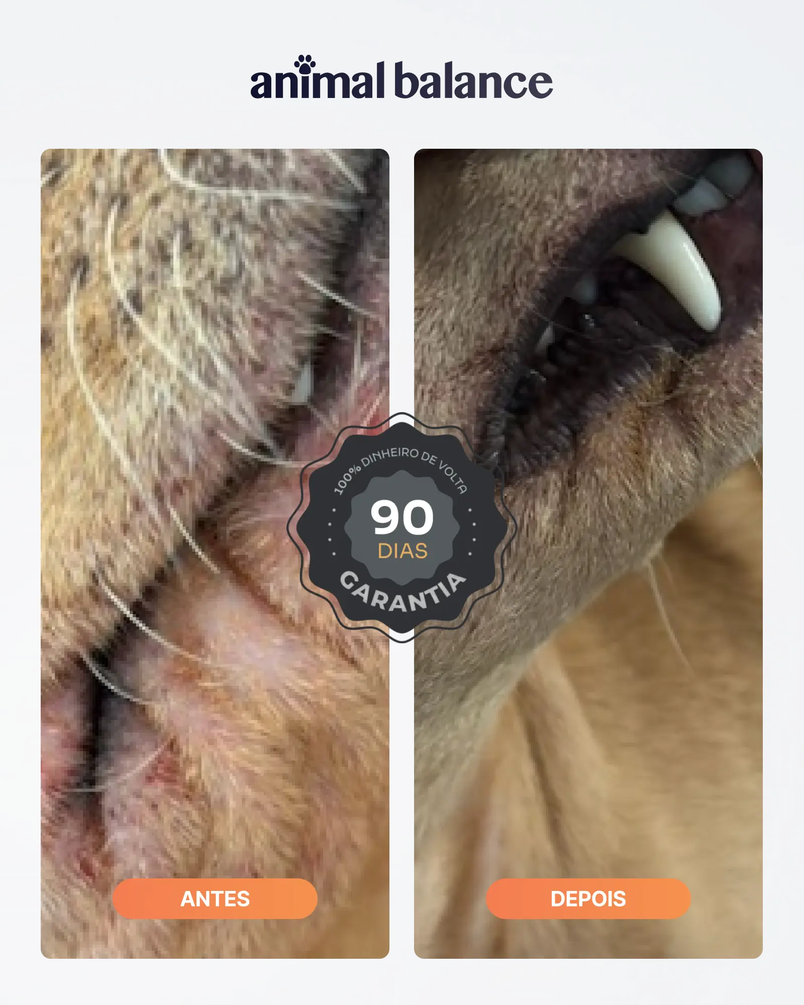 PowerOmega 3, 6 e 9 + Cúrcuma - Suplemento Vitamínico, Sabor Cordeiro 500ml - 3und