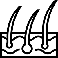 PELO FORTE
