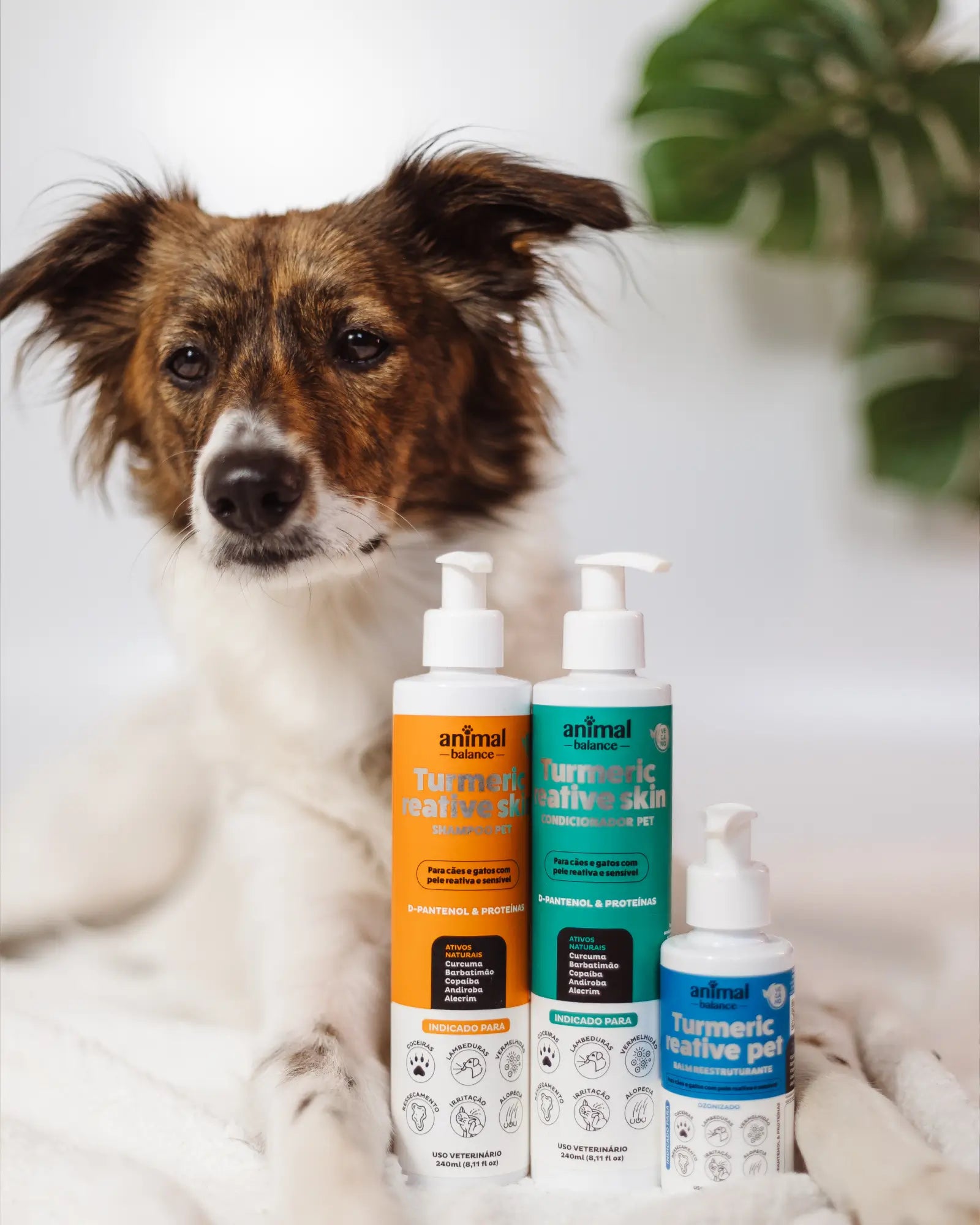 Shampoo Pet - Cúrcuma Reative Skin - 240ml