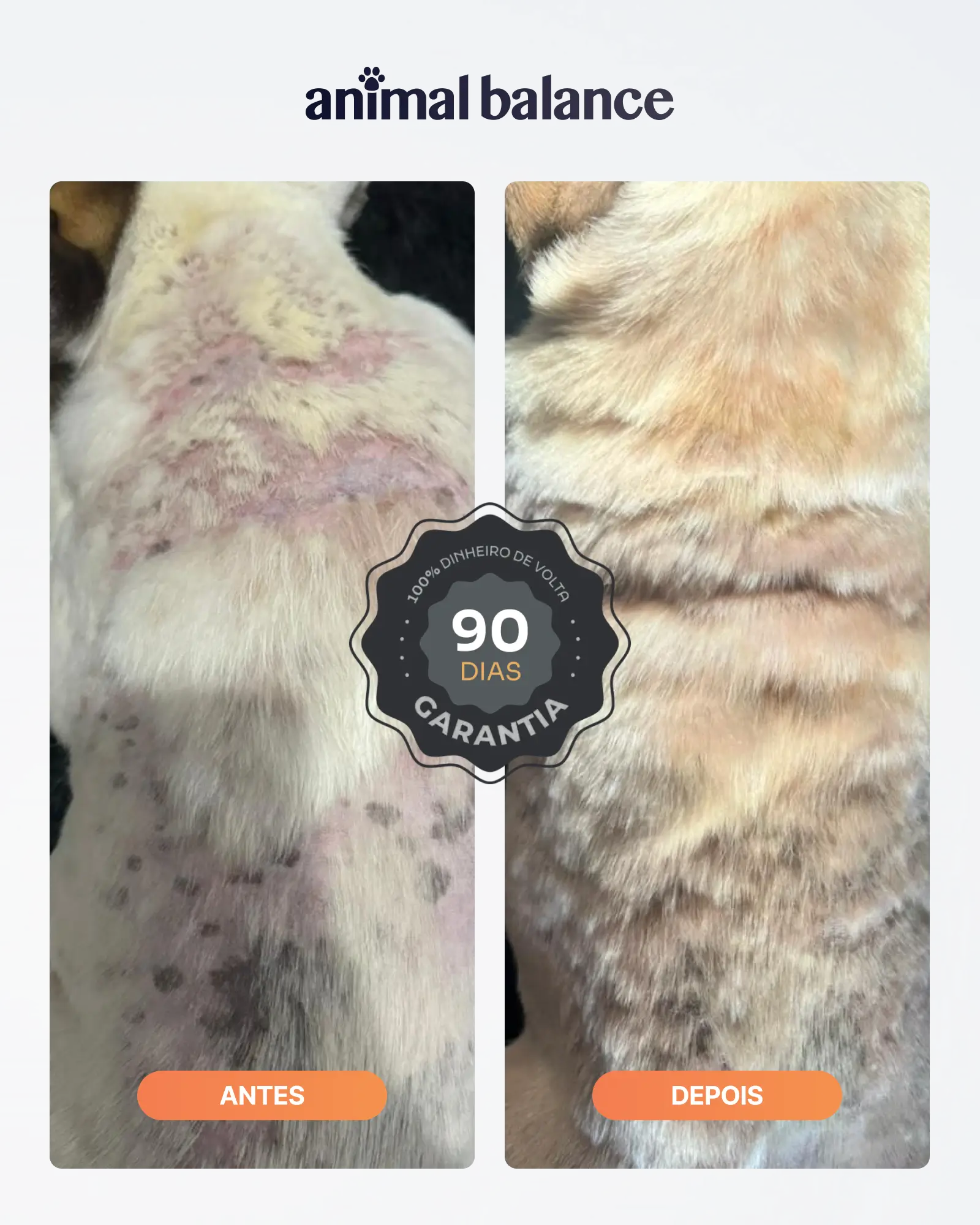 Spray Repelente Neem Defense - Neem, Capim-Limão, Lavanda & Aloe - 240ml