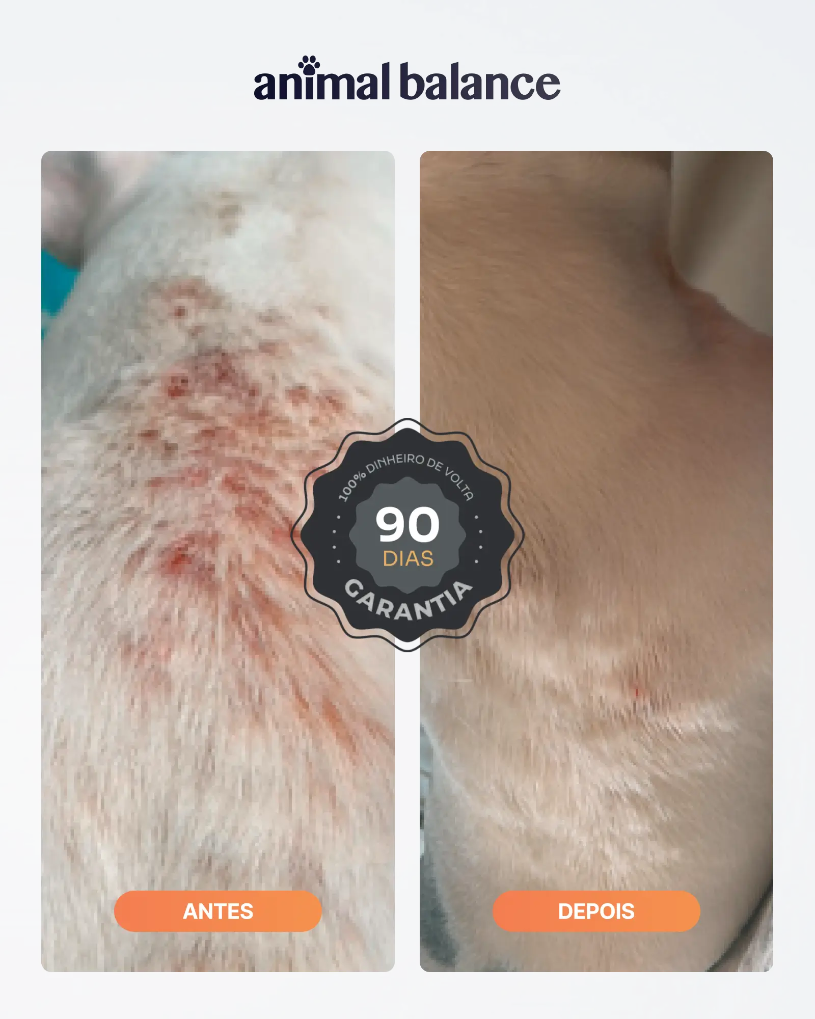 2 Shampoos Cúrcuma + 1 Condicionador + 1 Balm Reestruturante + 1 Spray Limpador