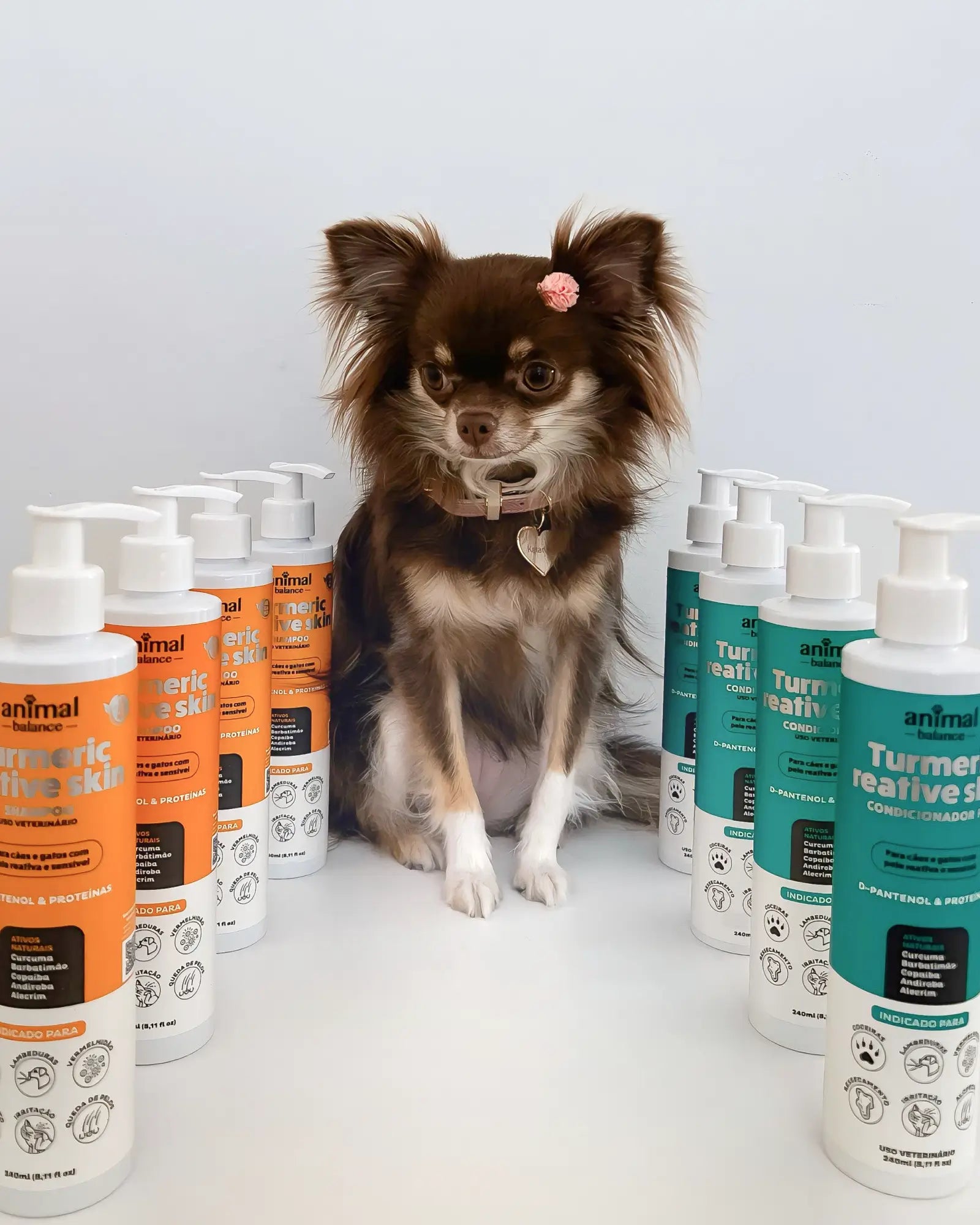 1,2 Litros - Shampoo Cúrcuma - Animal Balance