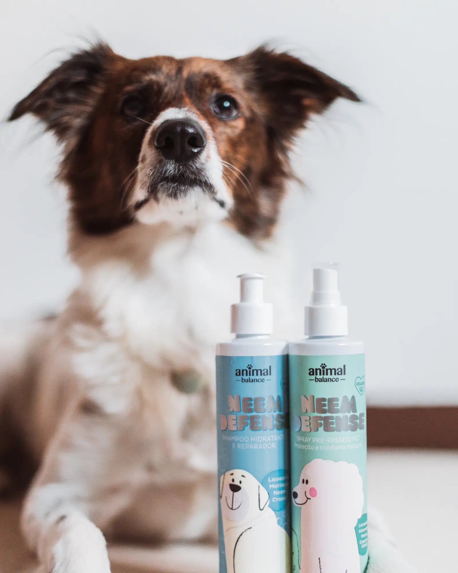 4 Spray Neem Defense + 2 Shampoo Neem Defense + 1 Balm Reparador