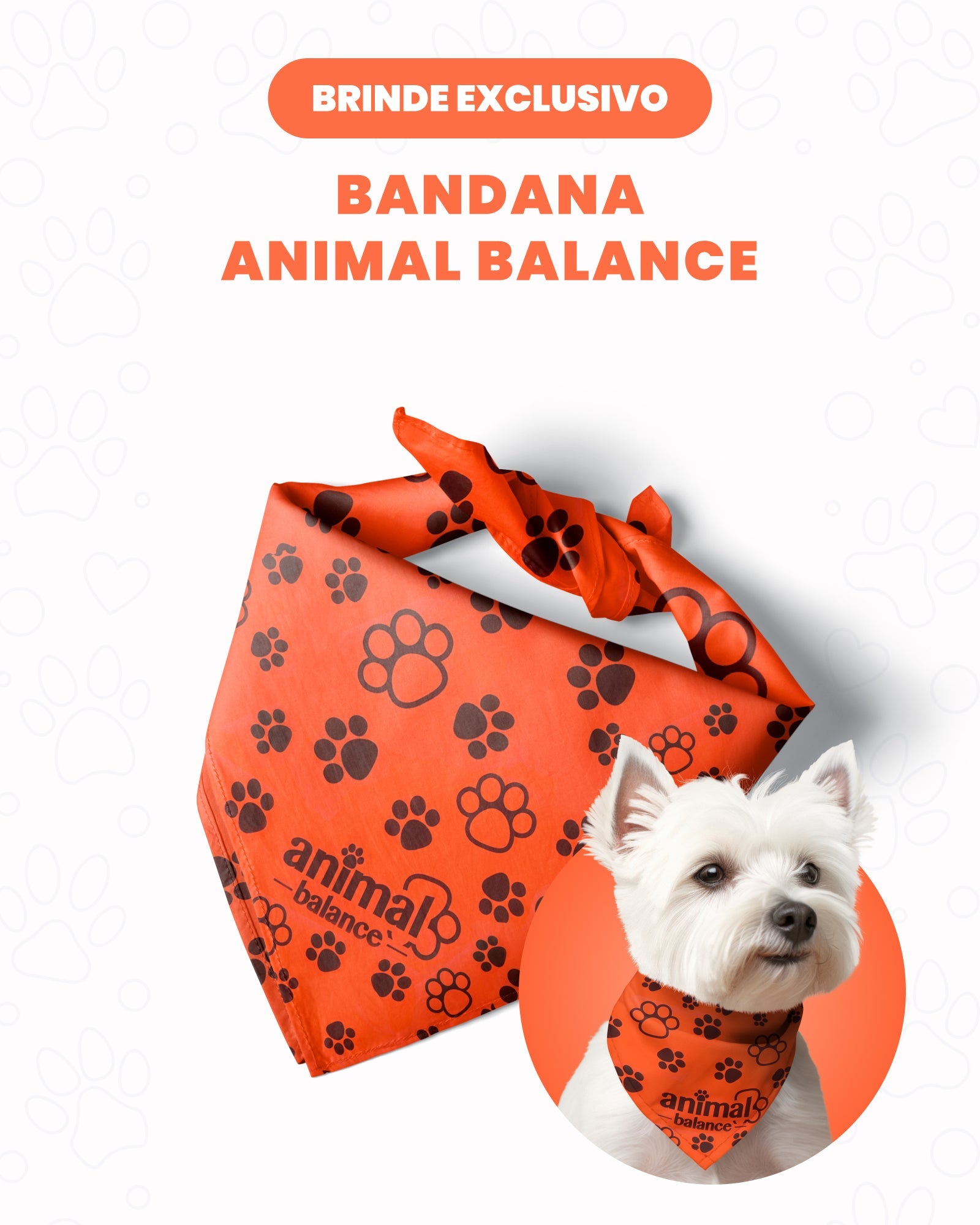 Brinde Bandana Protetora