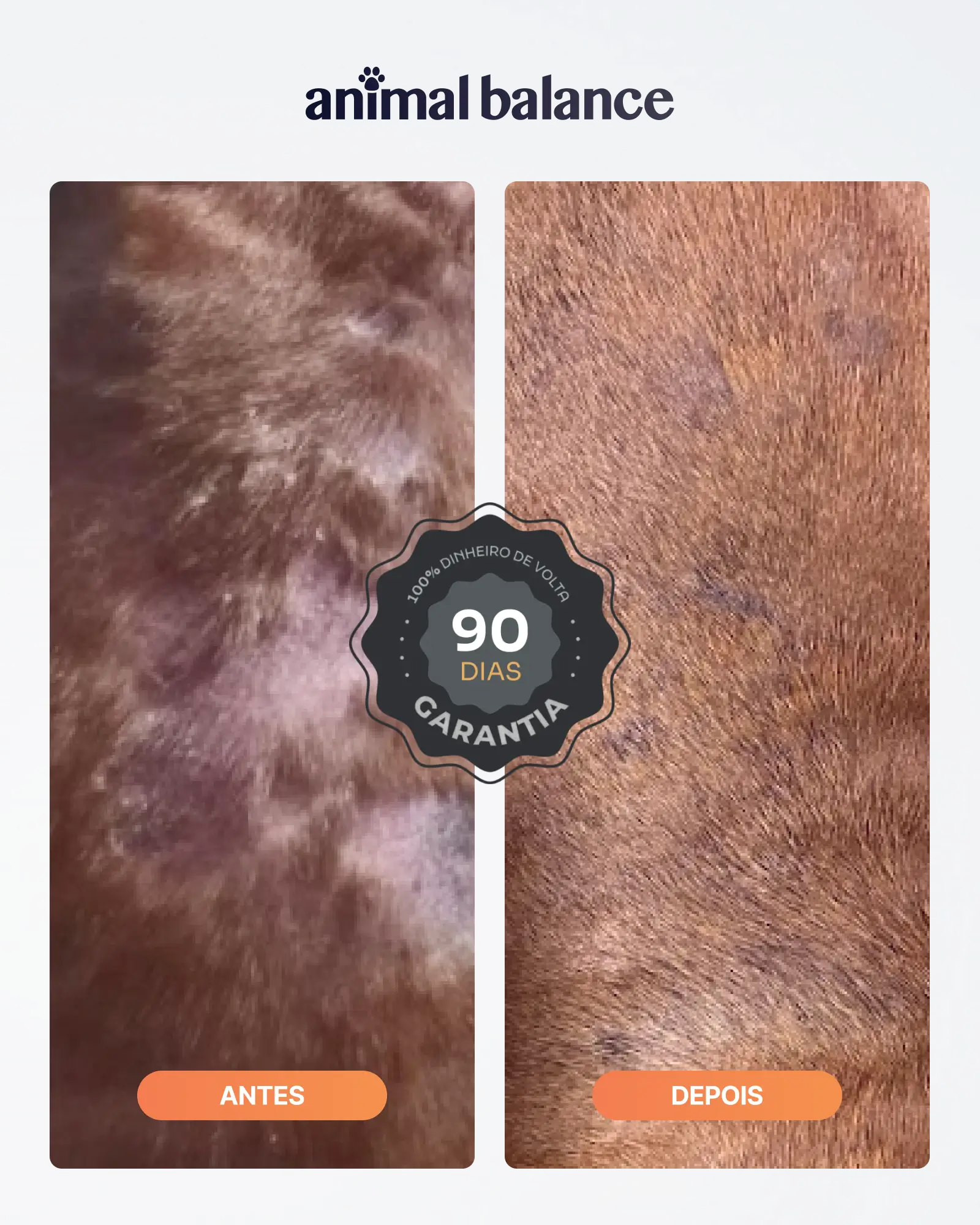 1,2 Litros - Shampoo Cúrcuma - Animal Balance