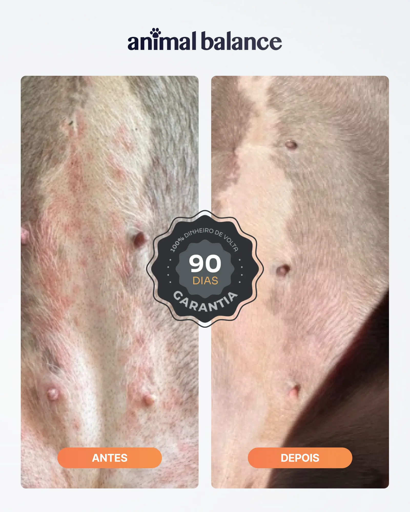 PowerOmega 3, 6 e 9 + Cúrcuma - Suplemento Vitamínico, Sabor Cordeiro 500ml - 2und