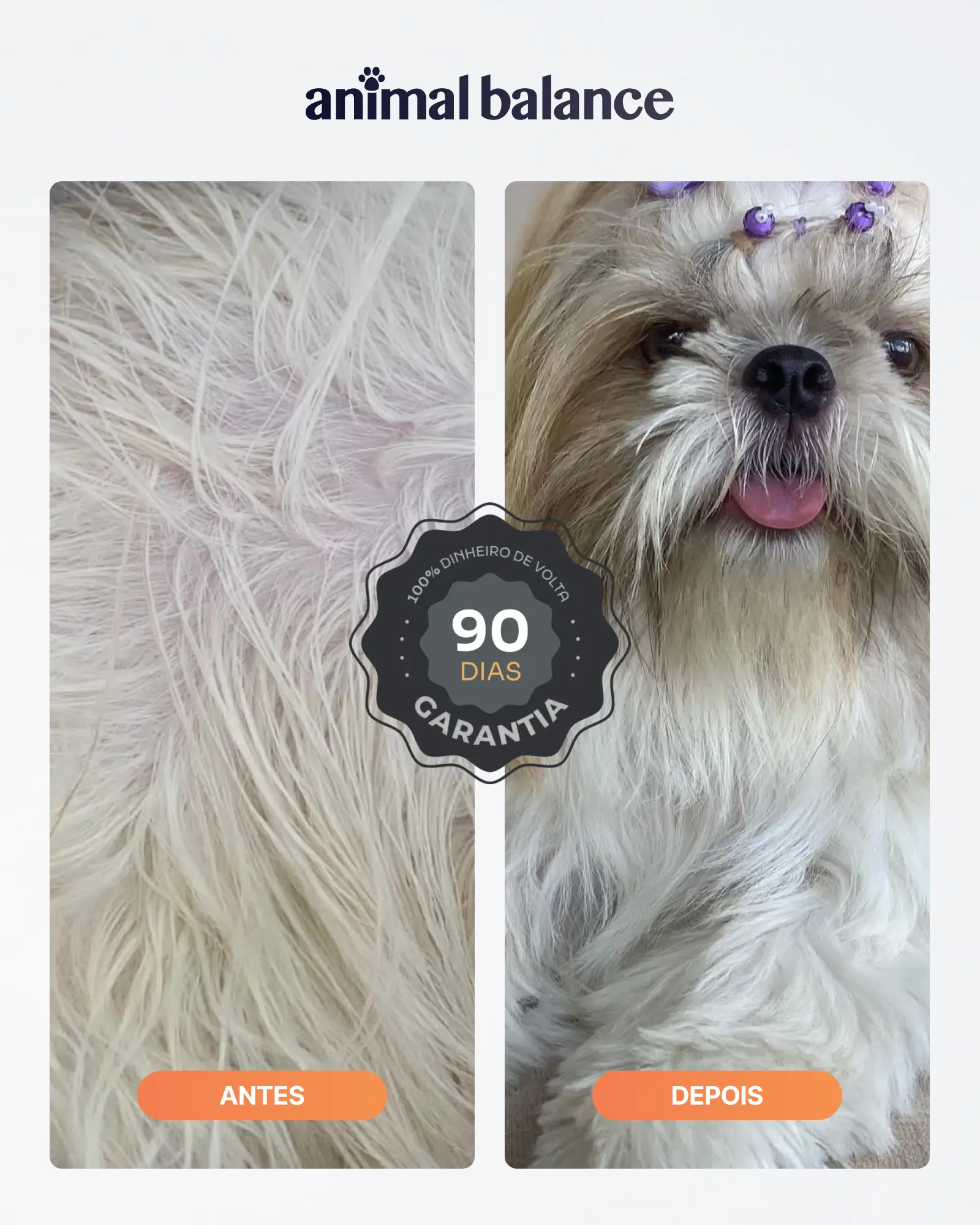 02 Pro Argan e Ojon + 01 Shampoo e 01 Balm Turmeric Reative