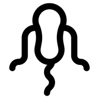 ANTI PARASITAS